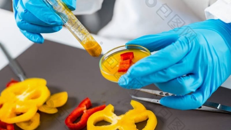 揭秘食品批发供应商排名背后的真相